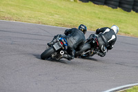 PJ-Motorsport-2019;anglesey-no-limits-trackday;anglesey-photographs;anglesey-trackday-photographs;enduro-digital-images;event-digital-images;eventdigitalimages;no-limits-trackdays;peter-wileman-photography;racing-digital-images;trac-mon;trackday-digital-images;trackday-photos;ty-croes